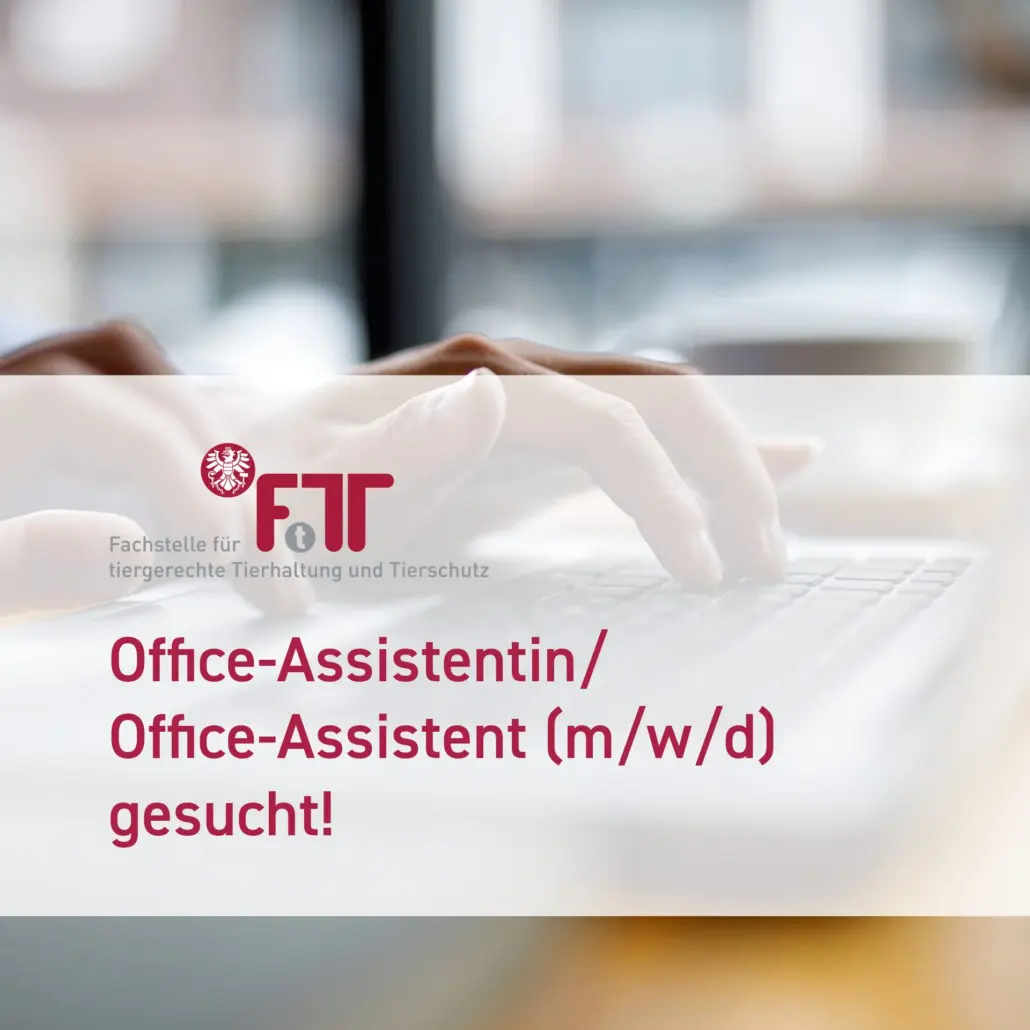 Stellenausschreibung Office-Assistentin/Office-Assistent (m/w/d) gesucht