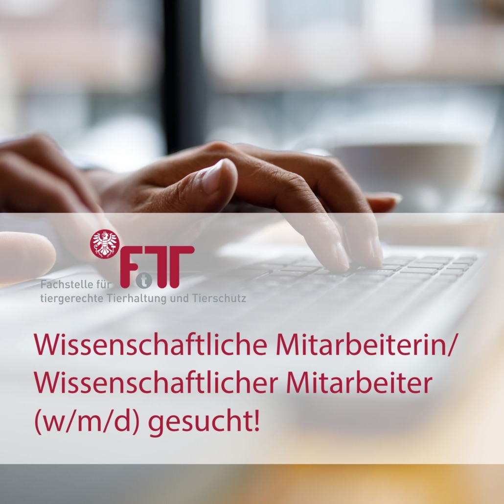 Wissenschaftliche Mitarbeiterin oder wissenschaftlicher Mitarbeiter gesucht!